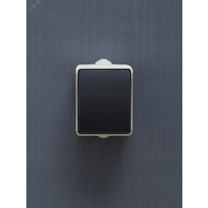 Выключатель кнопочный 1-кл. ОП Форс 10А IP54 ВСк20-1-0-ФСр сер. EVS13-K03-10-54-DC