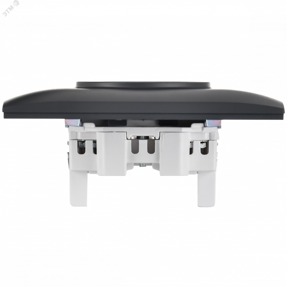 Изображение товара Розетка 2-местная без заземления с защитными шторками 10А Титан IEK SK-R09T