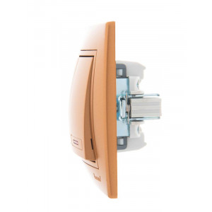 Выключатель 2-кл. СП Mira 10А IP20 с подсветкой со вставкой зол. метал. 701-1313-112