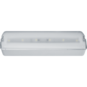 Светильник светодиодный 95 294 NEF-21 5Вт 300лм 220-240В IP20 акк. LiFePO4 1800мА.ч аварийно-эвакуационный NAVIGATOR 95294