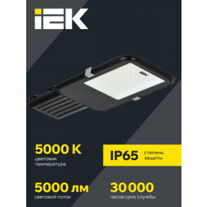 Светильник светодиодный ДКУ 1013-50Д 5000К IP65 LDKU1-1013-050-5000-K03