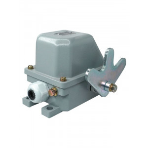 Выключатель концевой КУ-704 У1 W-образ. рычаг 10А IP54 2 эл. цепи ET003120