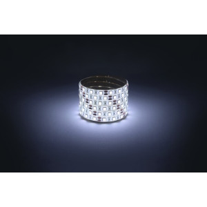 Светодиодная лента ЭРА LS5050 -14,4-60-12-6500K-IP65-1 year-5m холодный белый 5м (кр.1шт)