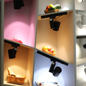 Светильник LGD-SHOP-4TR-R100-40W Day SP5000-Veg (BK, 24 deg) 026422, Светильник подвесной для треков/шин 4 провода для продуктов. Мощность 40 Вт, св. поток 4000 лм, 100 лм/Вт, специальный дневной 5000 K для зеленых овощей и фруктов, угол 24°, напряжение питания 230 В. Черный корпус из алюминия, материал линзы PMMA,