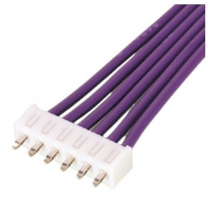 9P-SDN