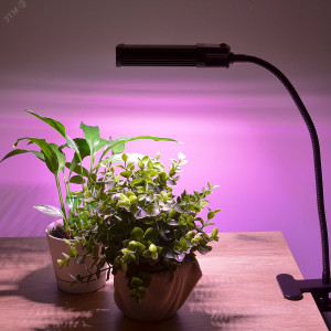 Светильник ULT-P31-12W/SPLE/40 IP40 BLACK SINGLE для растений светодиодный на прищепке Спектр для фотосинтеза UL-00009250