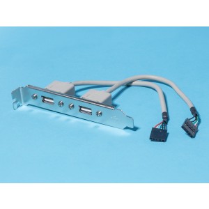 SCUA-21, Планка USB, 2 порта тип А - 2хBLS-5