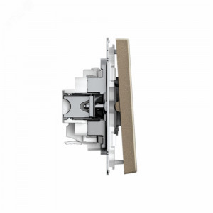 ARTGALLERY 2-клавишный ВЫКЛЮЧАТЕЛЬ, 10АХ, механизм, быстрозажимные клеммы, ШАМПАНЬ GAL000551S