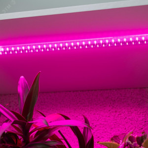 Светильник для растений, фитолампа светодиодная линейная FITO-10W-Т5-RB-Slim красно-синего спектра 10 Вт Т5 Б0057401