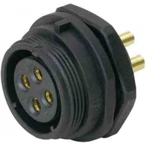 SP2112/S31N