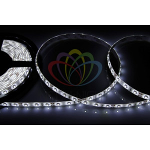 Лента светодиодная 12В, SMD2835, 4,8Вт/м, 60 LED/м, 6500К, 8мм, 5м, IP65 141-355