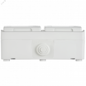 FORS Розетка 2-местная с заземлением для открытой установки 16А IP54 РСб22-3-ФБ белый ERS22-K01-16-54-DC