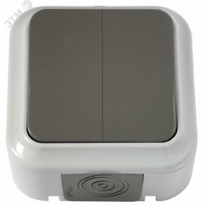 Беларусь Выключатель двухклавишный IP54 наружный А5 6-224 (03) Выключатель А5 6-224(03)