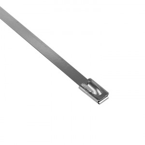 Хомут AISI 304 из нержавеющей стали, 4.6x200 (10 шт.) FlexLock PROxima plc-fl-tss-304-4.6x200-r