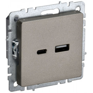 Розетка BRITE USB A+C 18Вт РЮ11-1-БрШ шампань BR-U22-018-K37