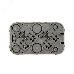 Розетка 2-местная для открытой установки с заземлением с защитными шторками с предварительным подключением 16А белый QUTEO 782237