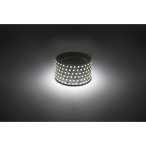 Светодиодная лента ЭРА LS2835 -9,6-120-12-4000K-IP20-1 year-50m дневной белый 50м (кр.1шт)