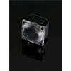 FCA15008_G2-ROSE-UV-M
