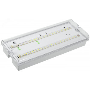 Светильник светодиодный ДПА 5042-1 IP65 1ч аварийный аккум. универс. подкл. LDPA0-5042-1-65-K01