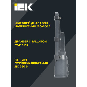 Светильник светодиодный ДКУ 1002-30Д 5000К IP65 сер. LDKU0-1002-030-5000-K03