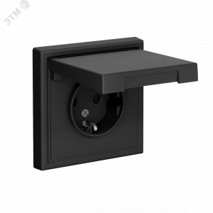 Розетка ArtGallery 16А IP20 с заземл. защ. шторки с крышкой механизм карбон SE GAL001046