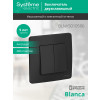 Выключатель 2-кл. СП Blanca 10А IP20 (сх. 5) 250В антрацит SE BLNVS010506