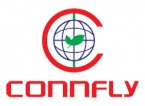 Логотип CONNFLY