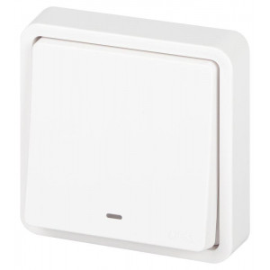 Выключатель Эксперт 11-1522-01 с подсветкой IP55 10АХ-250В СУ бел. Эра Б0063279