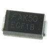EGF1B