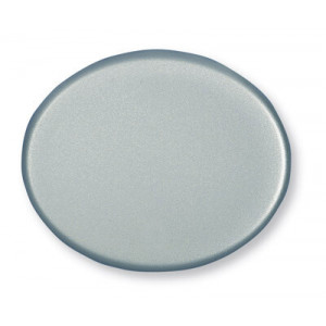 Клавиша для 1-клавишных выключателей/переключателей/кнопок, серия TACTO, цвет серебро 5501 PL