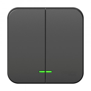 BLANCA О/У 2-клавишный ВЫКЛЮЧАТЕЛЬ (cх.5) с подсв., 10А, 250B, АНТРАЦИТ BLNVA105106