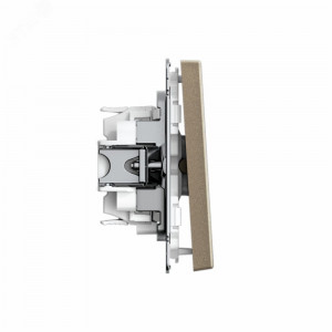 ARTGALLERY 1-клавишный ПЕРЕКЛЮЧАТЕЛЬ, 10АХ, механизм, быстрозажимные клеммы, ШАМПАНЬ GAL000561S