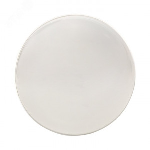 Светильник светодиодный ЖКХ ДПО-2001 8Вт 4000К IP65 круг PROxima BKL-2001-R-8-4000