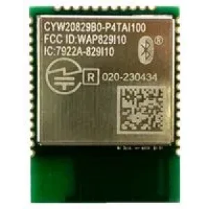 CYW20829B0-P4TAI100