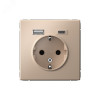Изображение товара Умная розетка с двумя USB портами 16А скрытая монтаж 220В бежевый