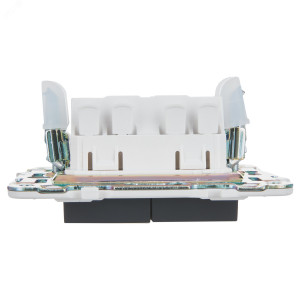 SKANDY Выключатель 2-клавишный проходной с индикацией 10А SK-V10G графит IEK SK-V22-1-10-K53