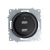 Розетка USB 2-м СП Florence 16А IP20 с подсветкой механизм черн. (1E10351303) 2260092