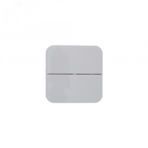 Выключатель 2-кл. ОП Blanca 10А IP20 (сх. 5) 250В с изолир. пластиной бел. SE BLNVA105011