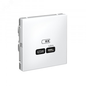 ARTGALLERY USB розетка тип-С 65Вт высокоскор.заряд. QC, PD, механизм, лотос GAL001327