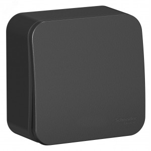 Выключатель 1-кл. ОП Blanca 10А IP20 (сх. 1) 250В с изолир. пластиной антрацит SE BLNVA101016