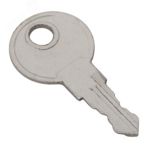 Ключ для замка (арт. 18-20/38-ip31) PROxima key-1