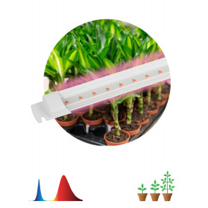 Светильник для растений, фитолампа светодиодная линейная ЭРА FITO-10W-Т5-RB-Slim красно-синего спектра 10 Вт Т5(кр.1шт) [Б0057401]