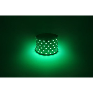 Светодиодная лента LS5050 -14,4-60-12-G-IP20-1 year-5m зеленый 5м Б0059920