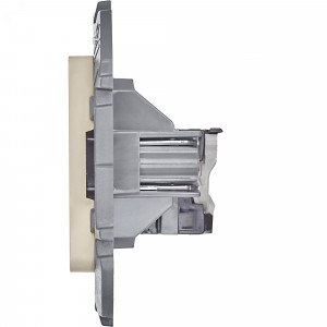 Розетка компьютерная Inspiria RJ45 кат.5E UTP сл. кость Leg 673826