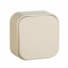 Quteo Кнопка 1 клавиша наружная бежевая 6А 782235