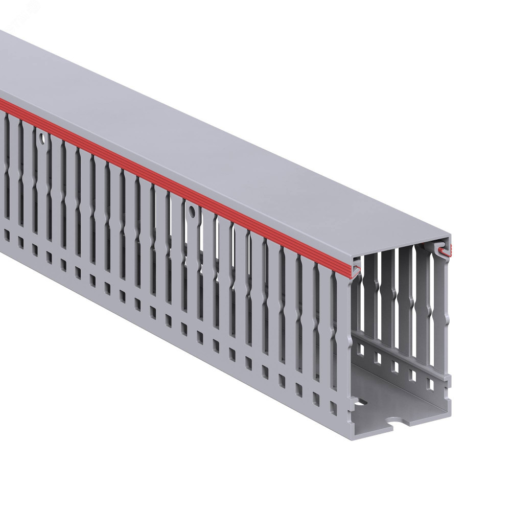 Изображение товара Кабель-канал перфорированный 40х60 мм RL6 G 01107RL DKC