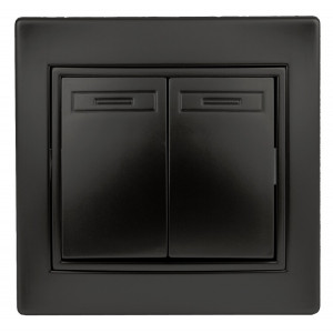 Переключатель Plano 1-107-05 двухклавишный, 10А-250В, IP20, СУ, антрацит Б0053810