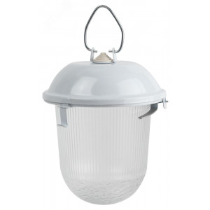 Светильник НСП 02-100-001 без решетки Желудь сталь / стекло IP54 E27 max 100Вт 170х260 белый Б0052017