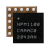 NPM1100-CAAA-E-R7