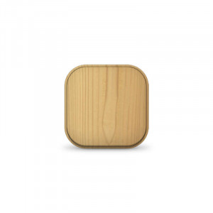 Выключатель 1-кл. 1п ОП 10А IP20 сосна 1434